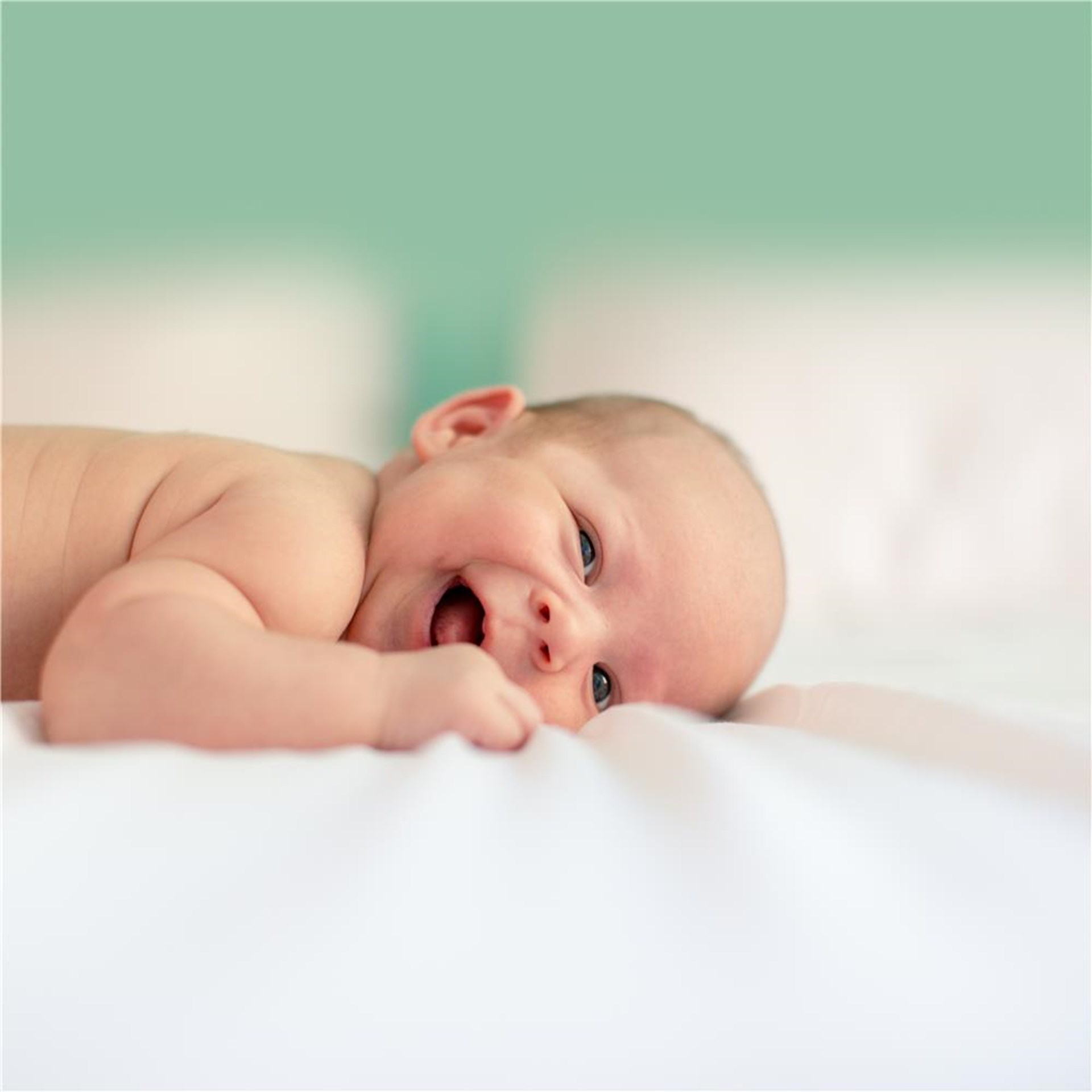 Baby liegt auf Decke. Grüner Hintergrund