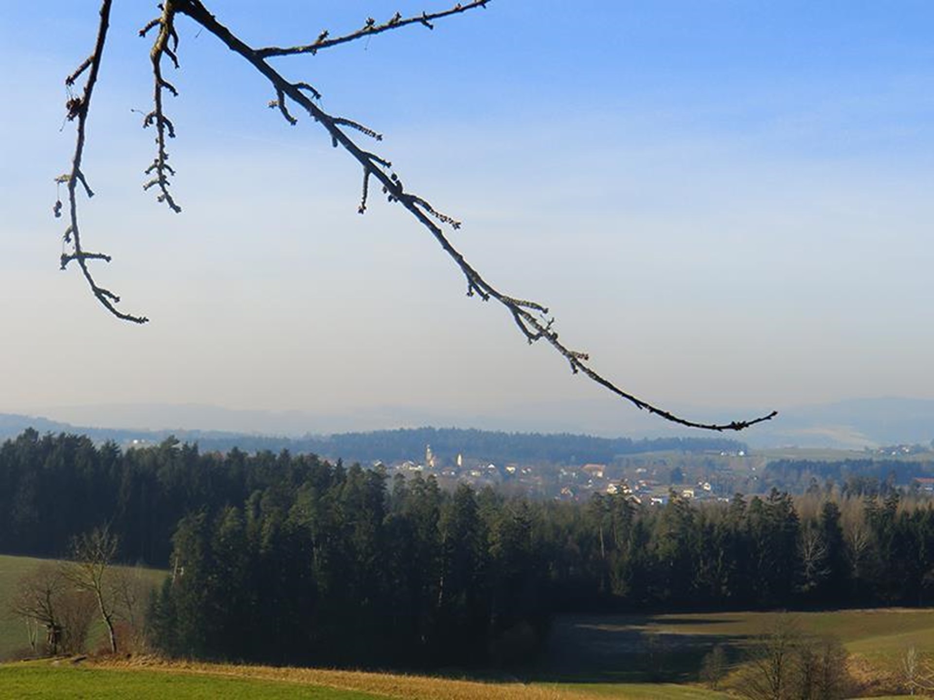 Fachklinik Haselbach